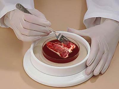Carne-in-vitro
